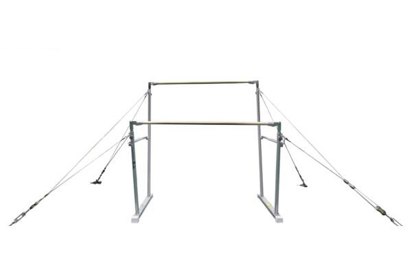 训练高低杠（A）(图1)